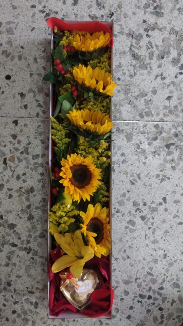 CAJA GIRASOL