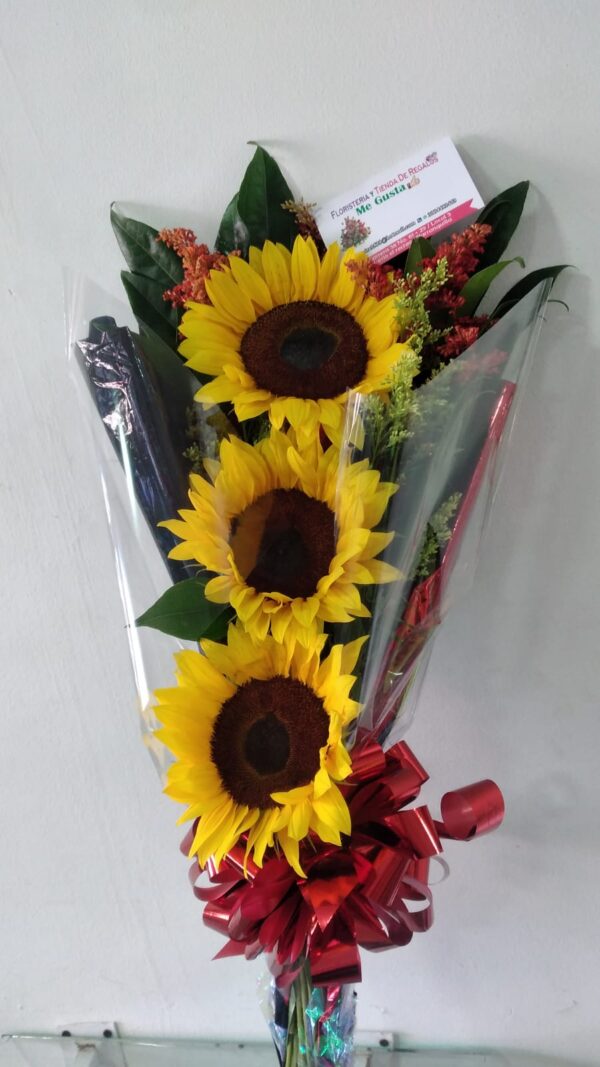 GIRASOL ERGUIDO