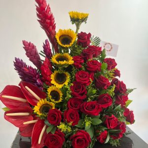 SOLEMNE ELEGANCIA