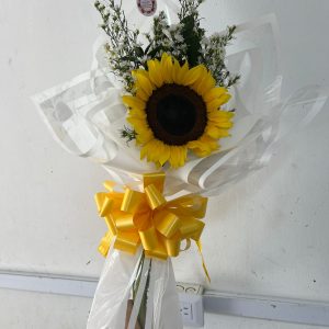 PUREZA BLANCA
