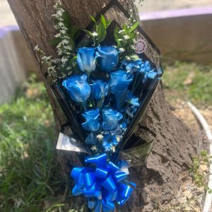 AZULES