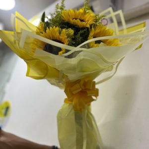 HERMOSOS GIRASOLES