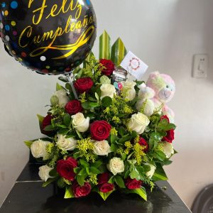 TIERNA CELEBRACION